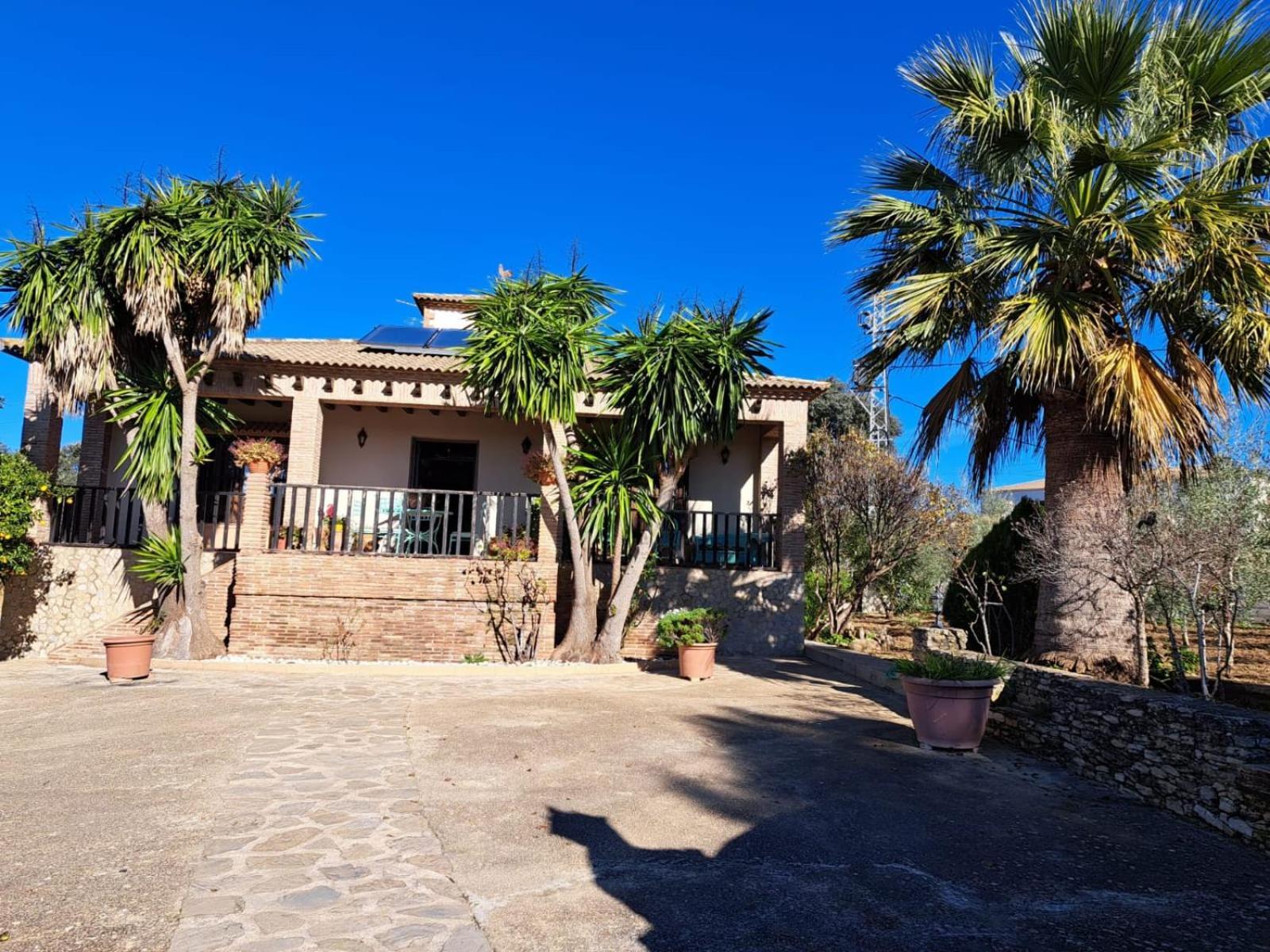 Casa Albarracin Villa Setenil De Las Bodegas Eksteriør billede